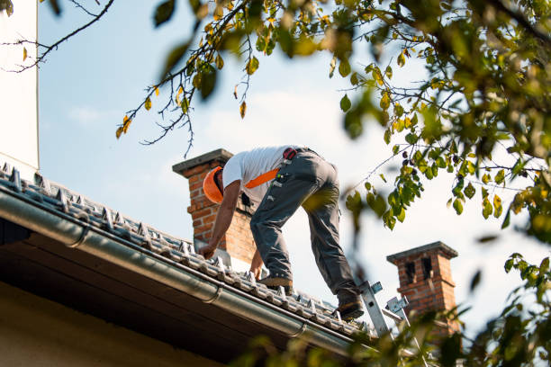Professional Roofing Contractor in Sprague, WV